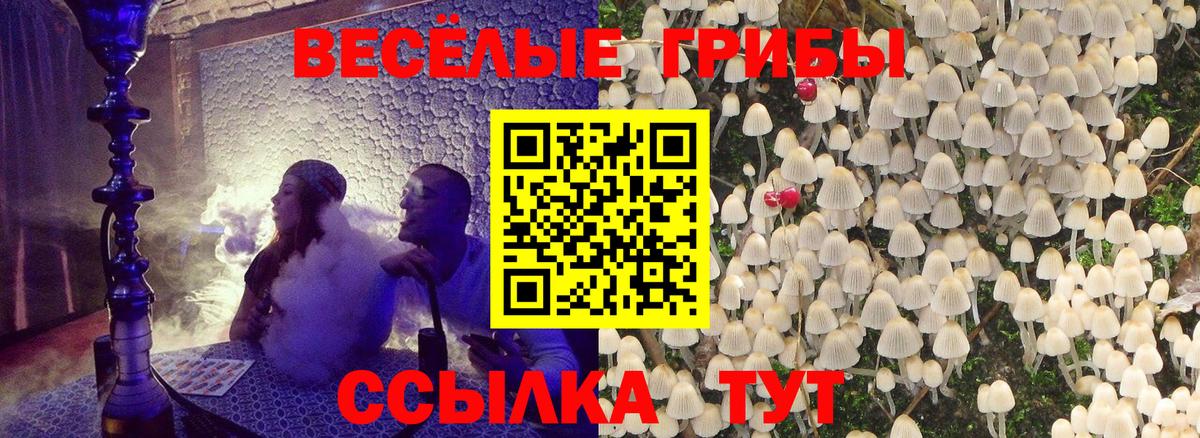 Галлюциногенные грибы Psilocybine cubensis  Вход с VPN  Псилоцибиновые грибы Cubensis  Лесосибирск 